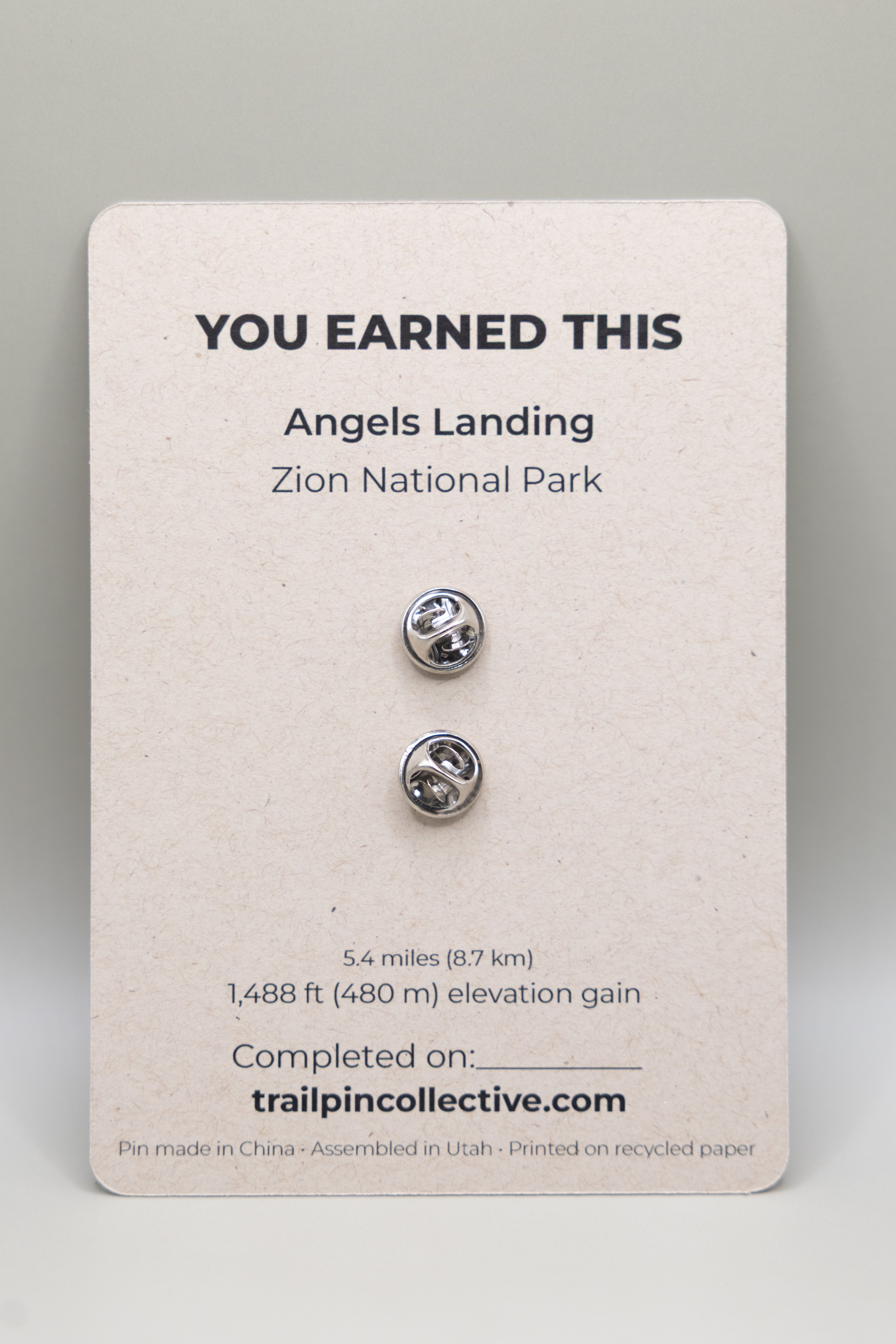 Angels Landing Trail Pin