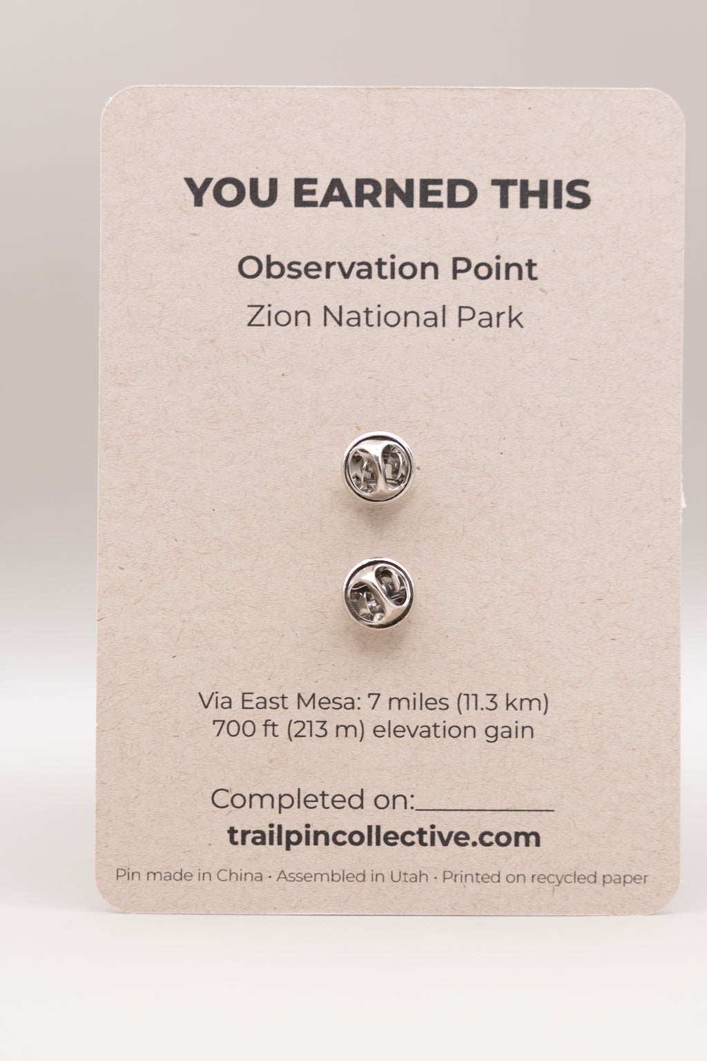 Observation Point Trail Pin